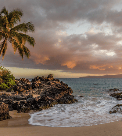 Untitled design (71)